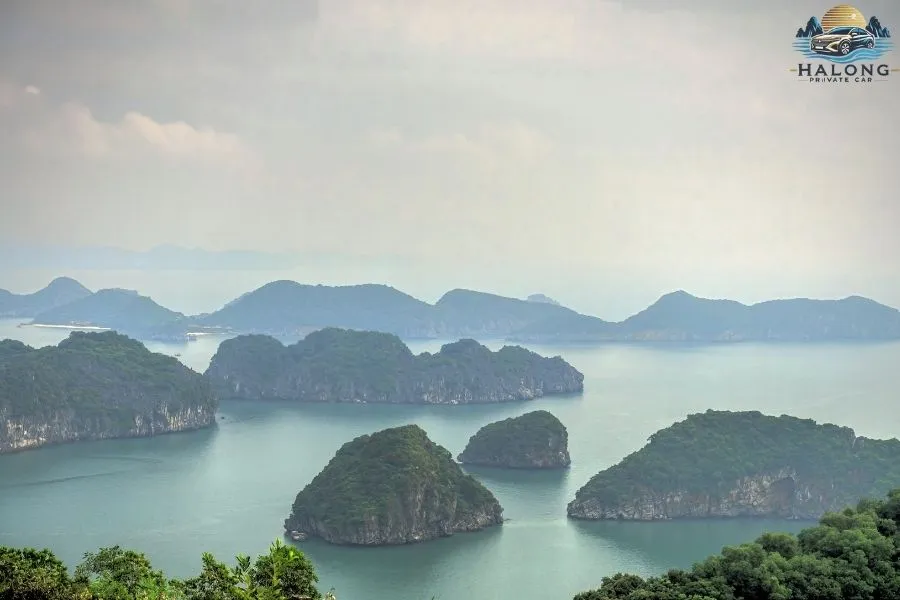 Ninh Binh To Cat Ba Island By Private Car - Halong Private Car