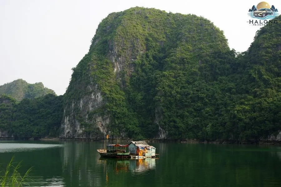 Ninh Binh To Cat Ba Island By Private Car - Halong Private Car