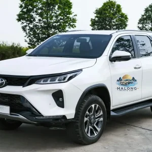 Ninh Binh To Hanoi Private Car - Halong Private Car