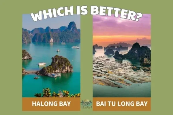 Halong Bay vs Bai Tu Long Bay - Halong Private Car