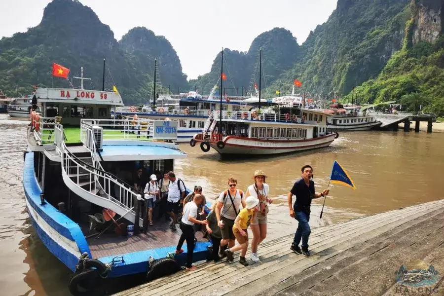 Halong Bay vs Bai Tu Long Bay - Halong Private Car