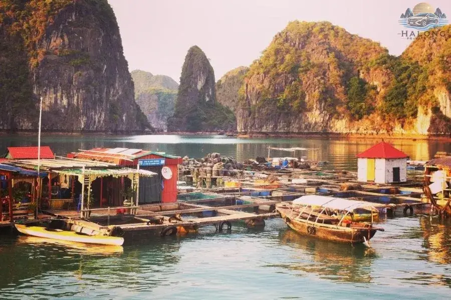 Cua Van Floating Village