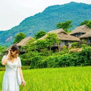 Ninh Binh to Mai Chau private car - Halong Private Car