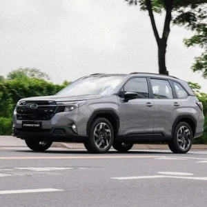 Pu Luong to Cat Ba island private car - Halong Private Car