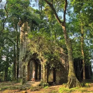 Hanoi To Ba Vi National Park By Car - Halong Private Car