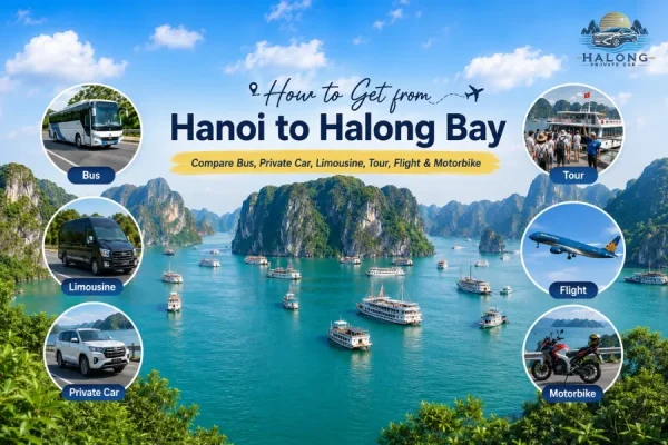 Hanoi To Halong Bay All Transportation Options Compared - Halong Private Car