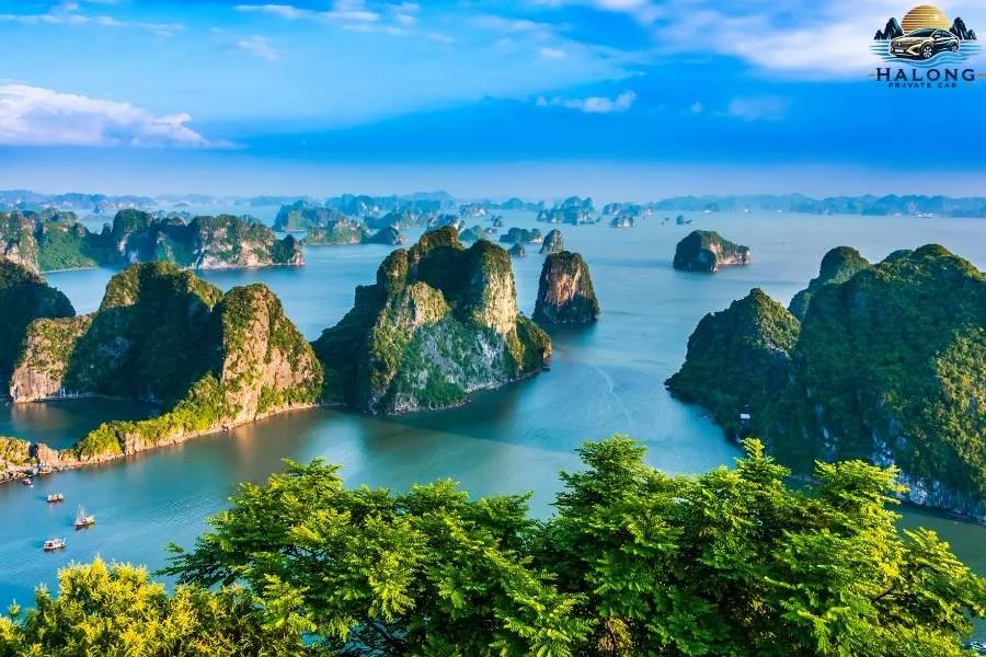 Pu Luong To Halong Bay By Private Car - Halong Private Car