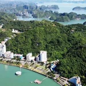 Sapa To Cat Ba Island Private Car—Halong Private Car