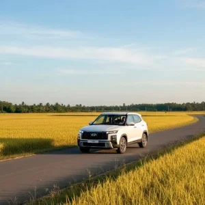 Private car Ninh Binh to Phong Nha - Halong Private Car