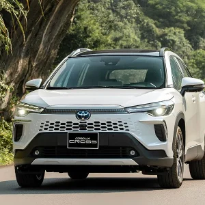 Ninh Binh To Sapa By Private Car - Halong Private Car