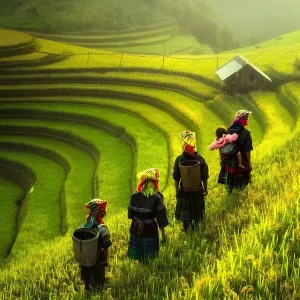 Ninh Binh To Sapa By Private Car - Halong Private Car