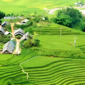 Transfer From Ninh Binh To Sapa By Private Car - Halong Private Car