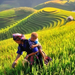 Transfer From Pu Luong To Sapa Private Car - Halong Private Car
