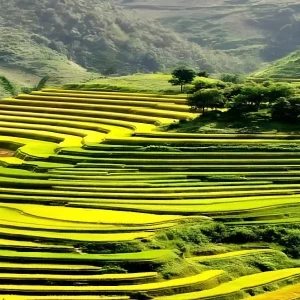 Transfer From Pu Luong To Sapa Private Car - Halong Private Car