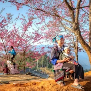 Ha Giang to Mu Cang Chai By Private Car - Halong Private Car