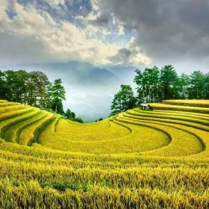 Ha Giang to Mu Cang Chai By Private Car - Halong Private Car