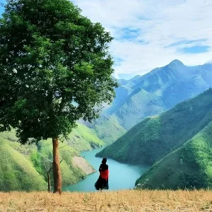 Transfer From Ninh Binh To Ta Xua By Private Car - Halong Private Car