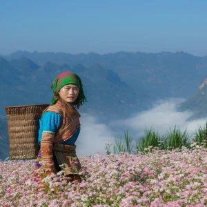 Private Car Ha Giang to Meo Vac - Halong Private Car