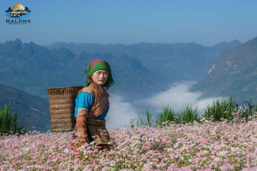 Private Car Ha Giang to Meo Vac - Halong Private Car