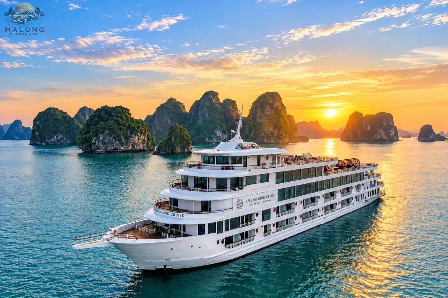Cruise Experience - Halong Private Car