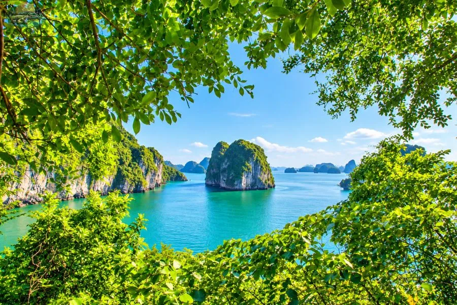 Spring In Halong Bay - Halong Private Car